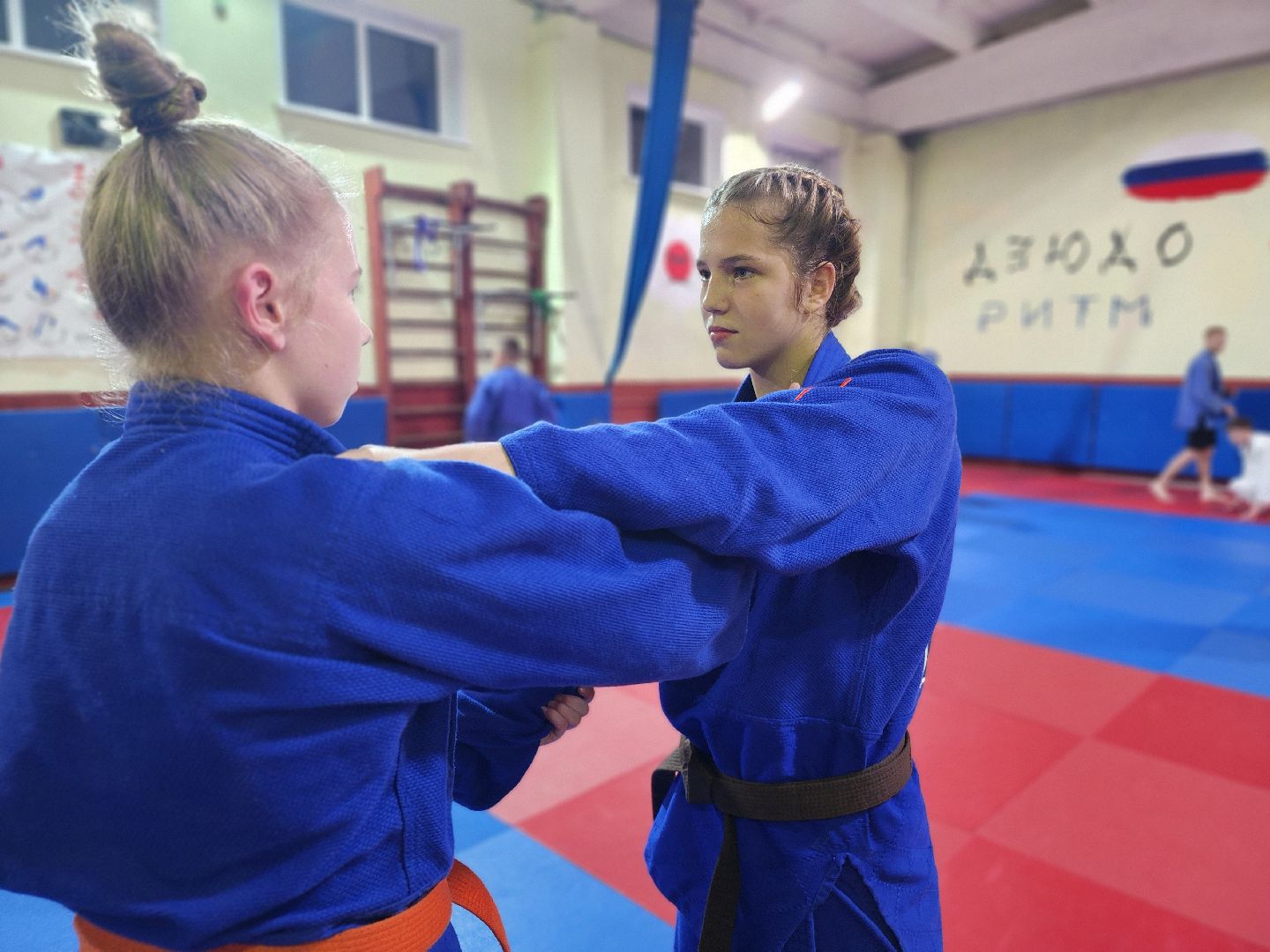 спорт, дзюдо, орехово-зуевский округ,