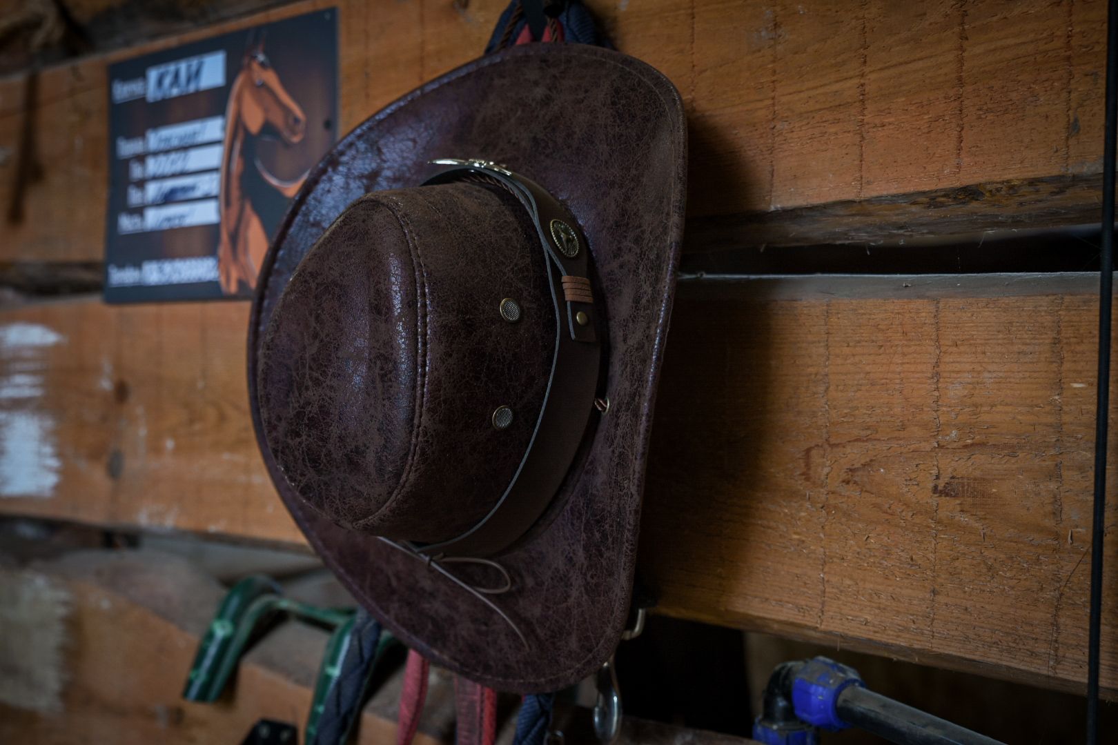 база отдыха, конный клуб, отдых под бронницами, отдых на свежем воздухе, рыбалка, джиппинг,