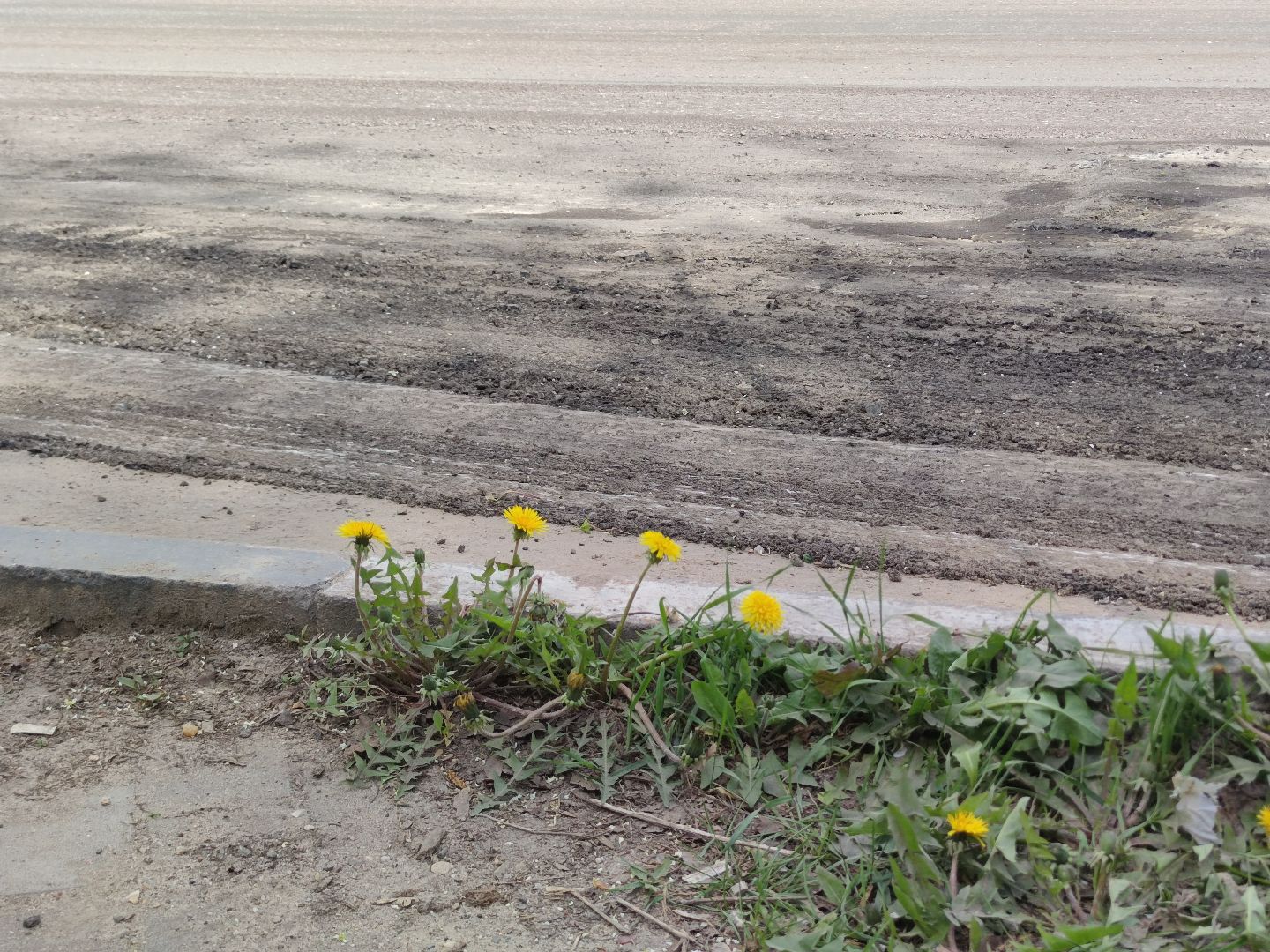 Благоустройство, ремонт дороги, Дубна