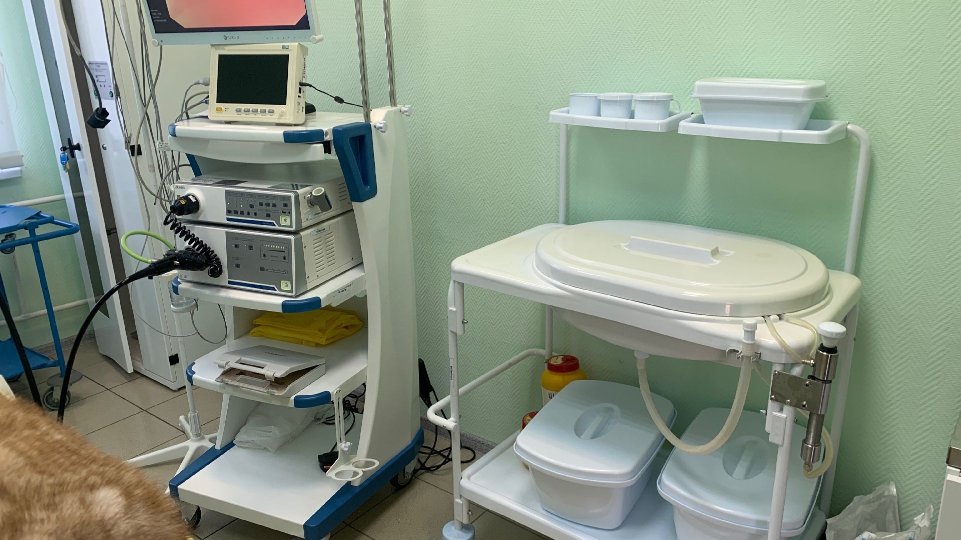 Ступино, медицина, ветеринарная станция