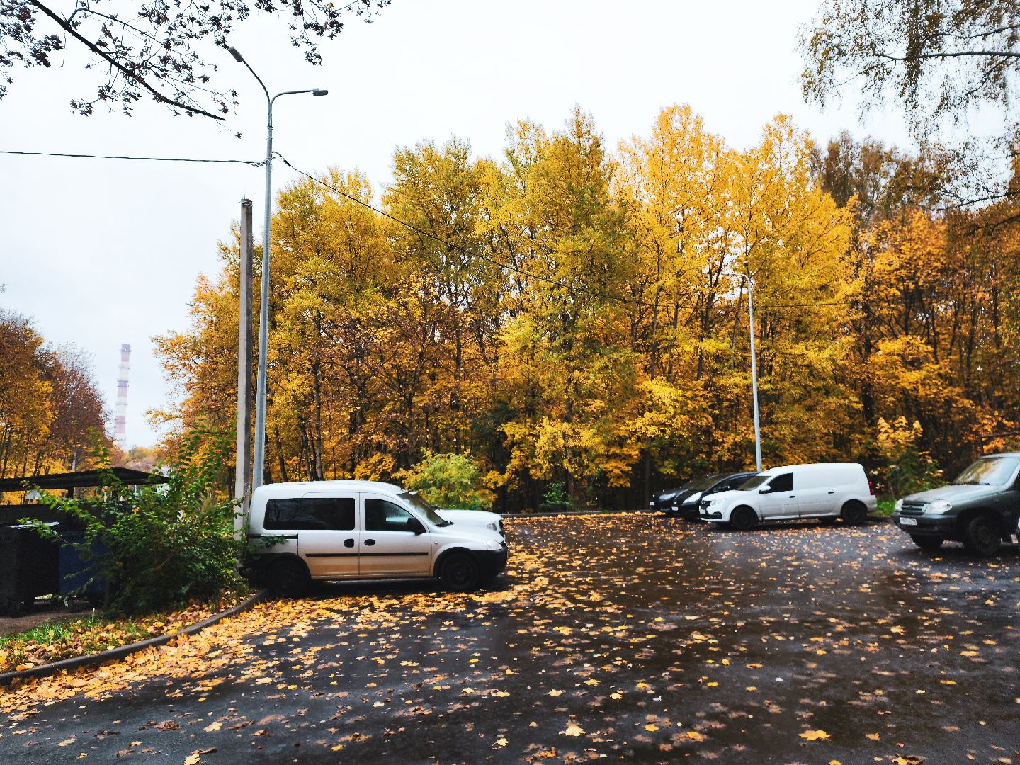 пущино, серпухов, благоустроенная территория, комплексное благоустройство дворов, освещение,