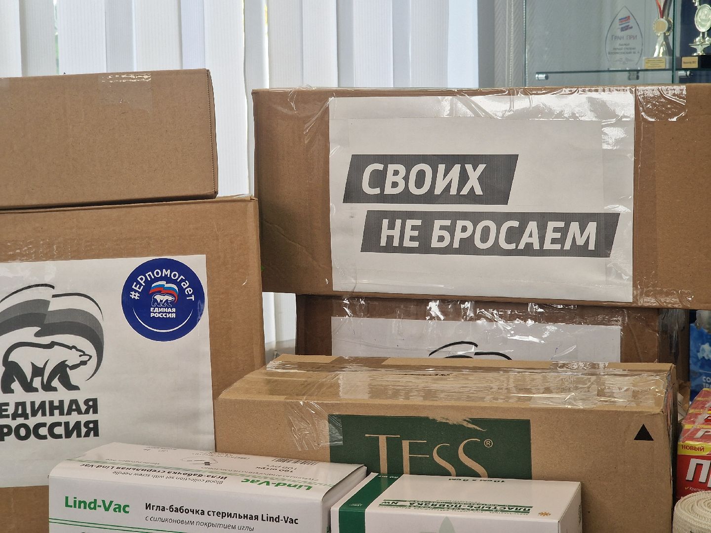 воскресенск, гуманирная помощь, единая россия,