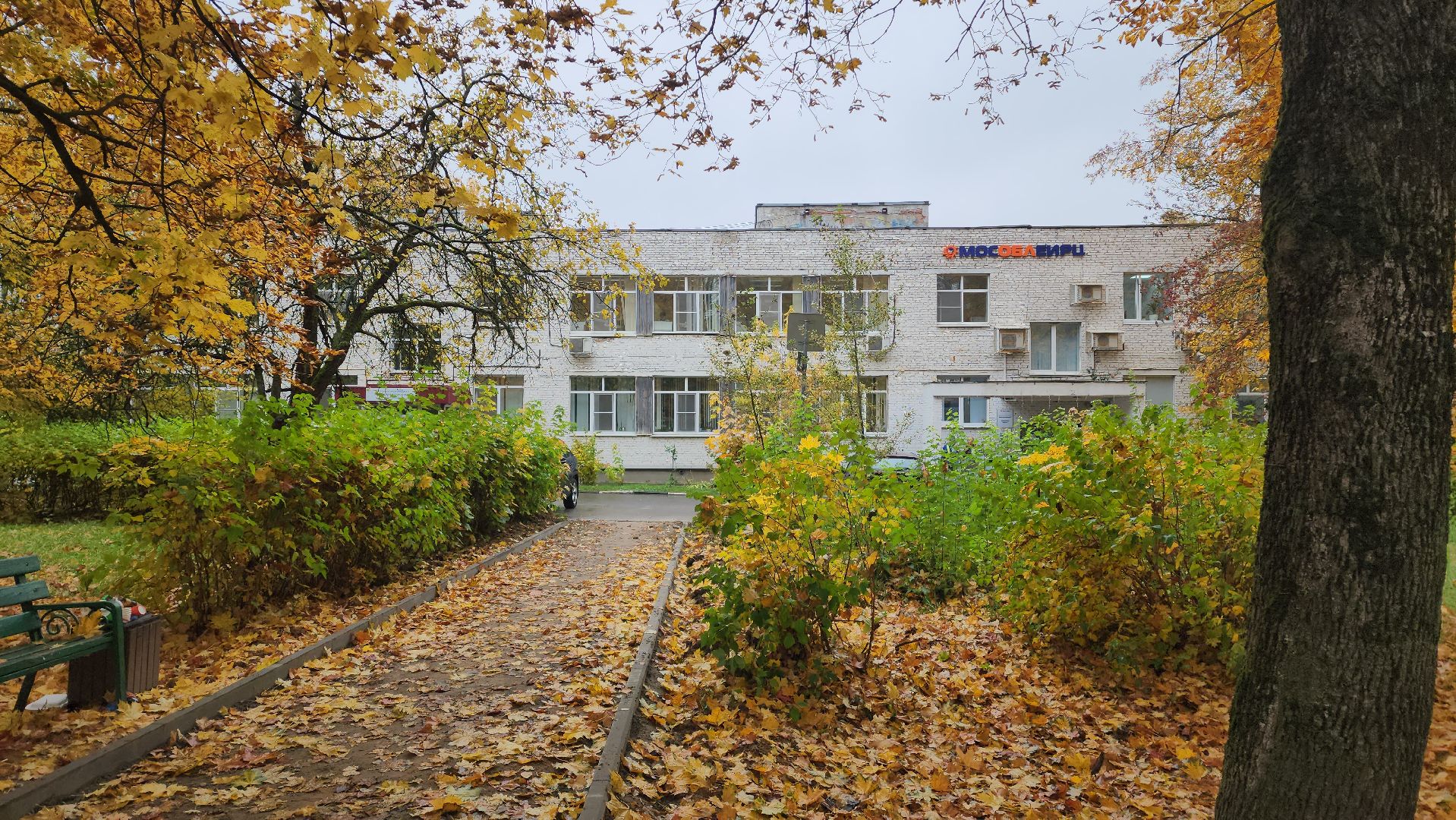 Тротуары , ремонт тротуаров, пешеходные дорожки, Лобня, мособлеирц,