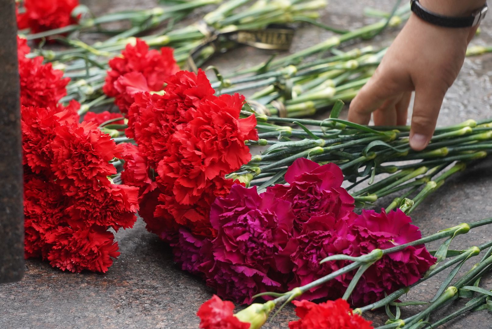 Электрогорск , аллея героев, Благоустройство ,