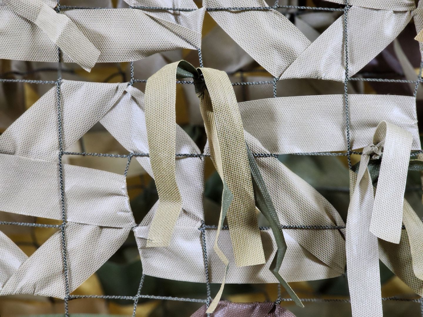 волонтеры, спецоперация, волонтеры сво, ногинск, богородский городской округ,