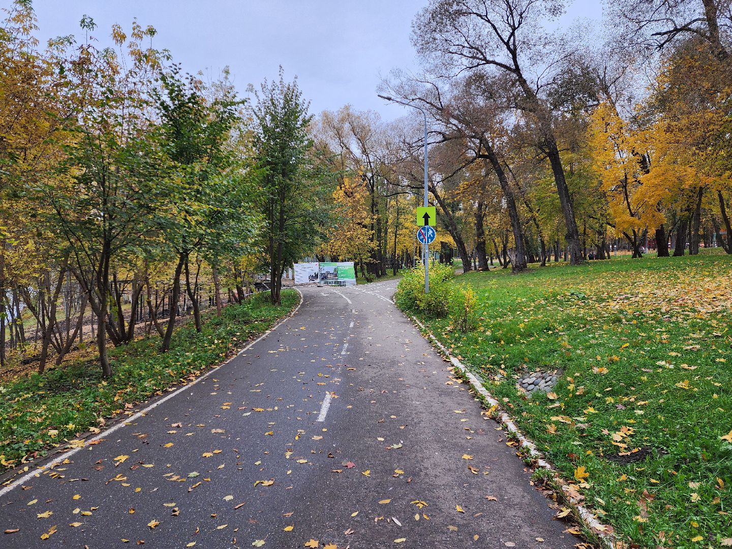 раменское, благоустройство, обустройство зоны отдыха у воды на берегу Борисоглебского озера ,