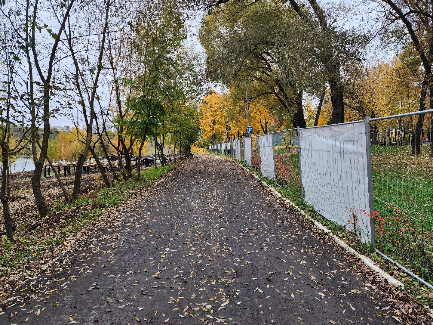 раменское, благоустройство, обустройство зоны отдыха у воды на берегу Борисоглебского озера ,