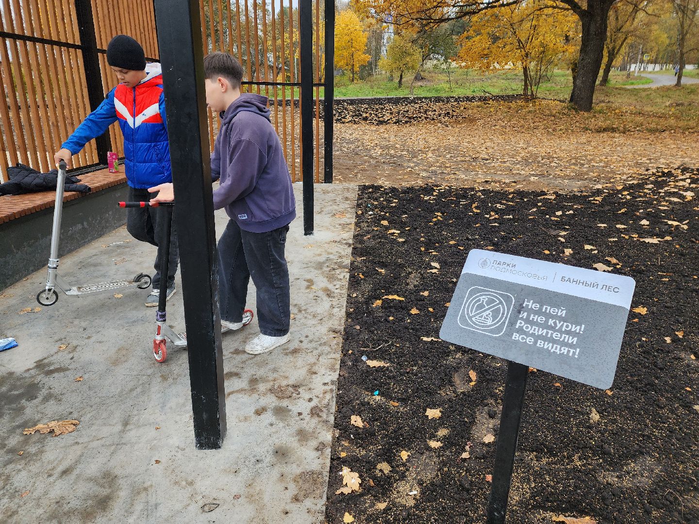 красноармейск, городской округ пушкинский, банный лес,