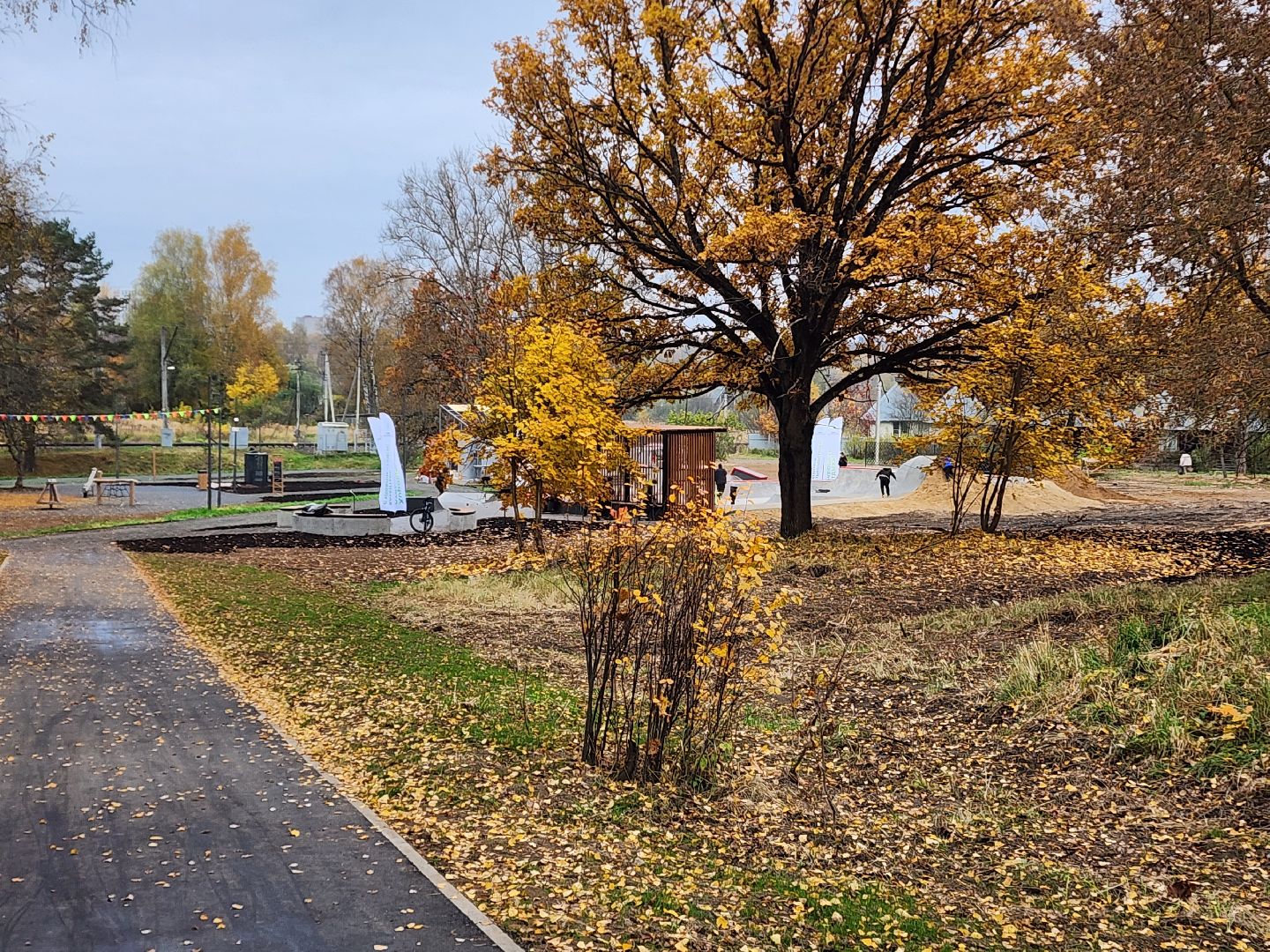красноармейск, городской округ пушкинский, банный лес,