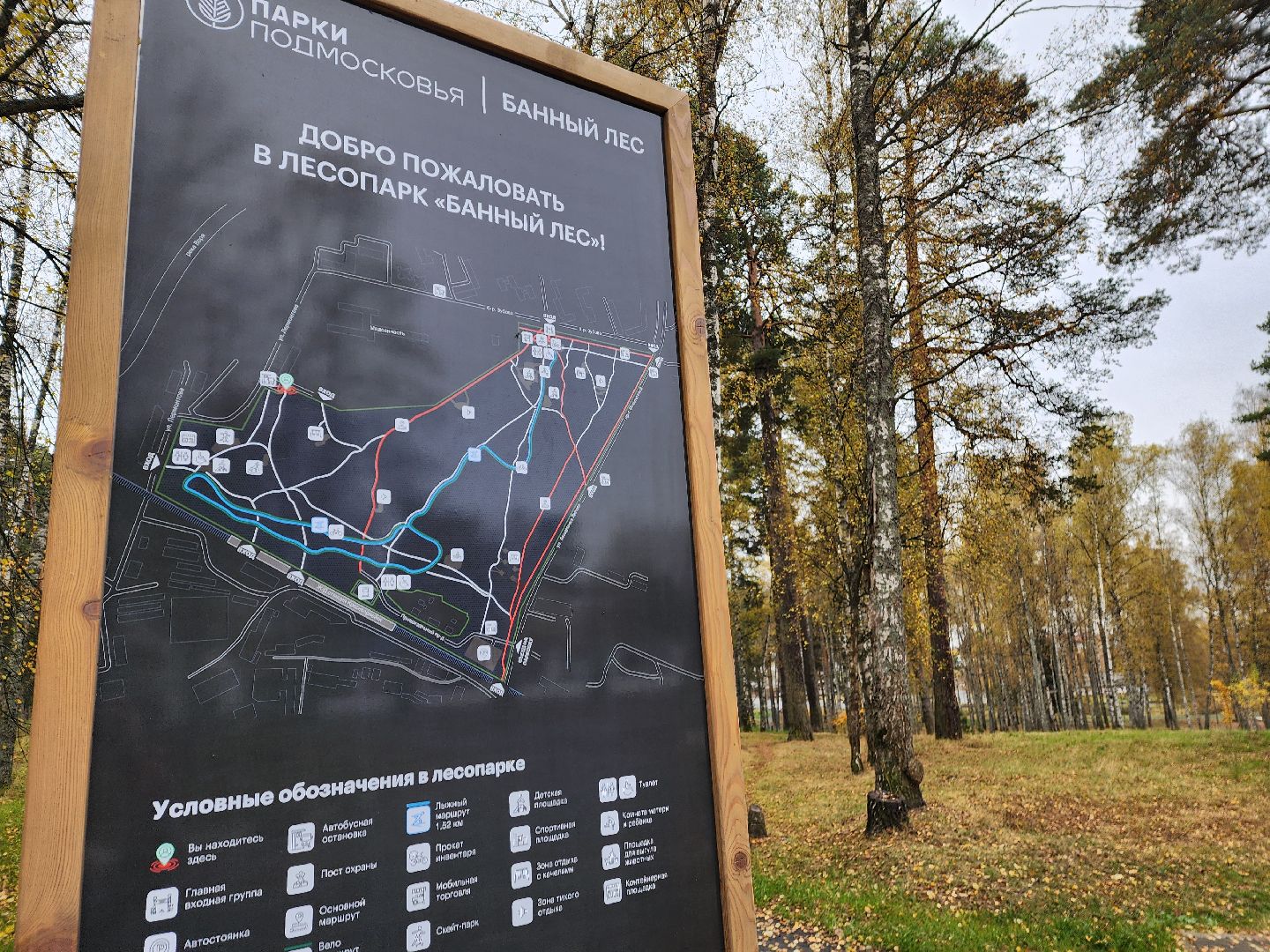 красноармейск, городской округ пушкинский, банный лес,