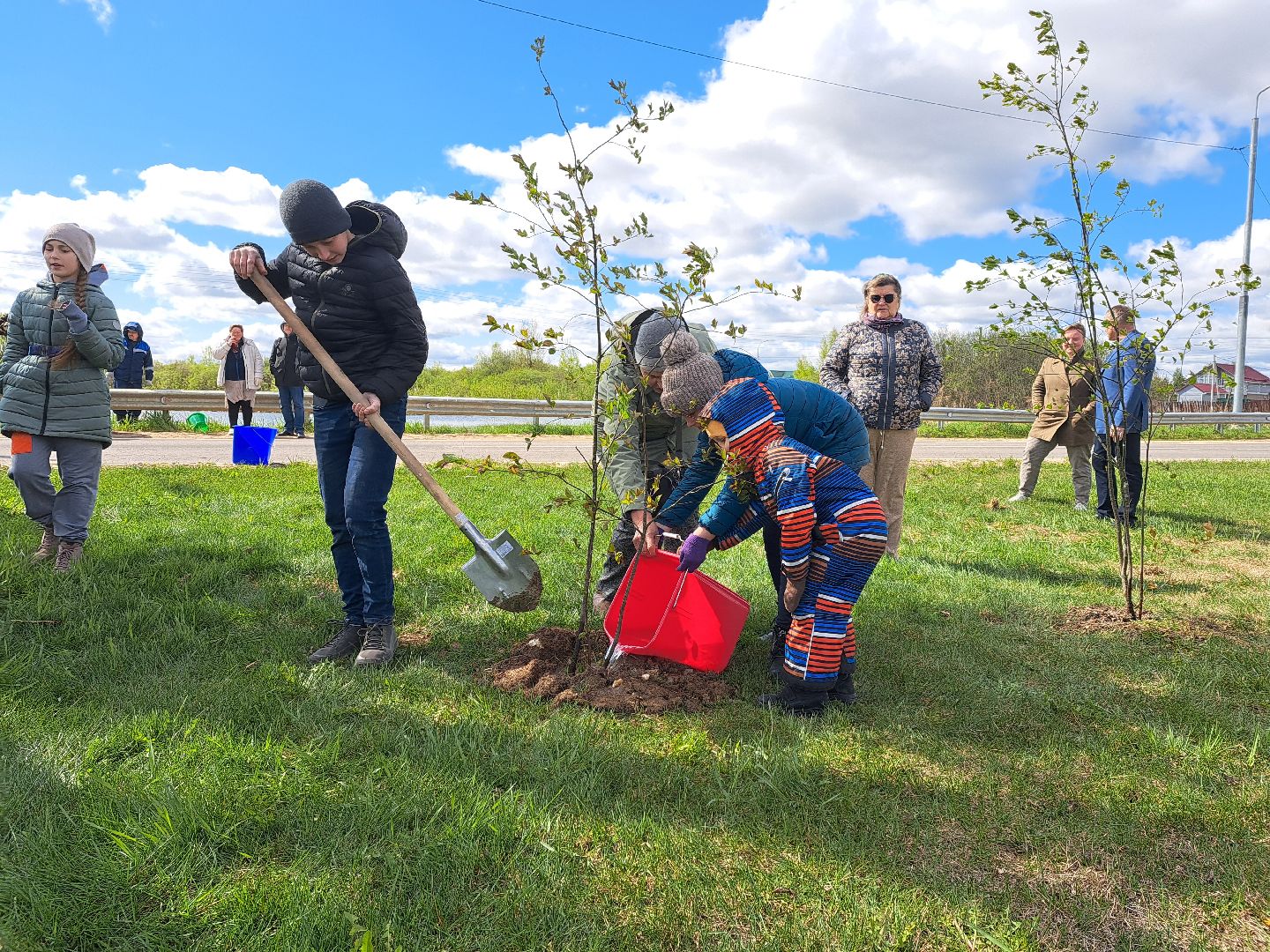 Рузский городской округ, Петрищево, Зоя, черёмуха, акция