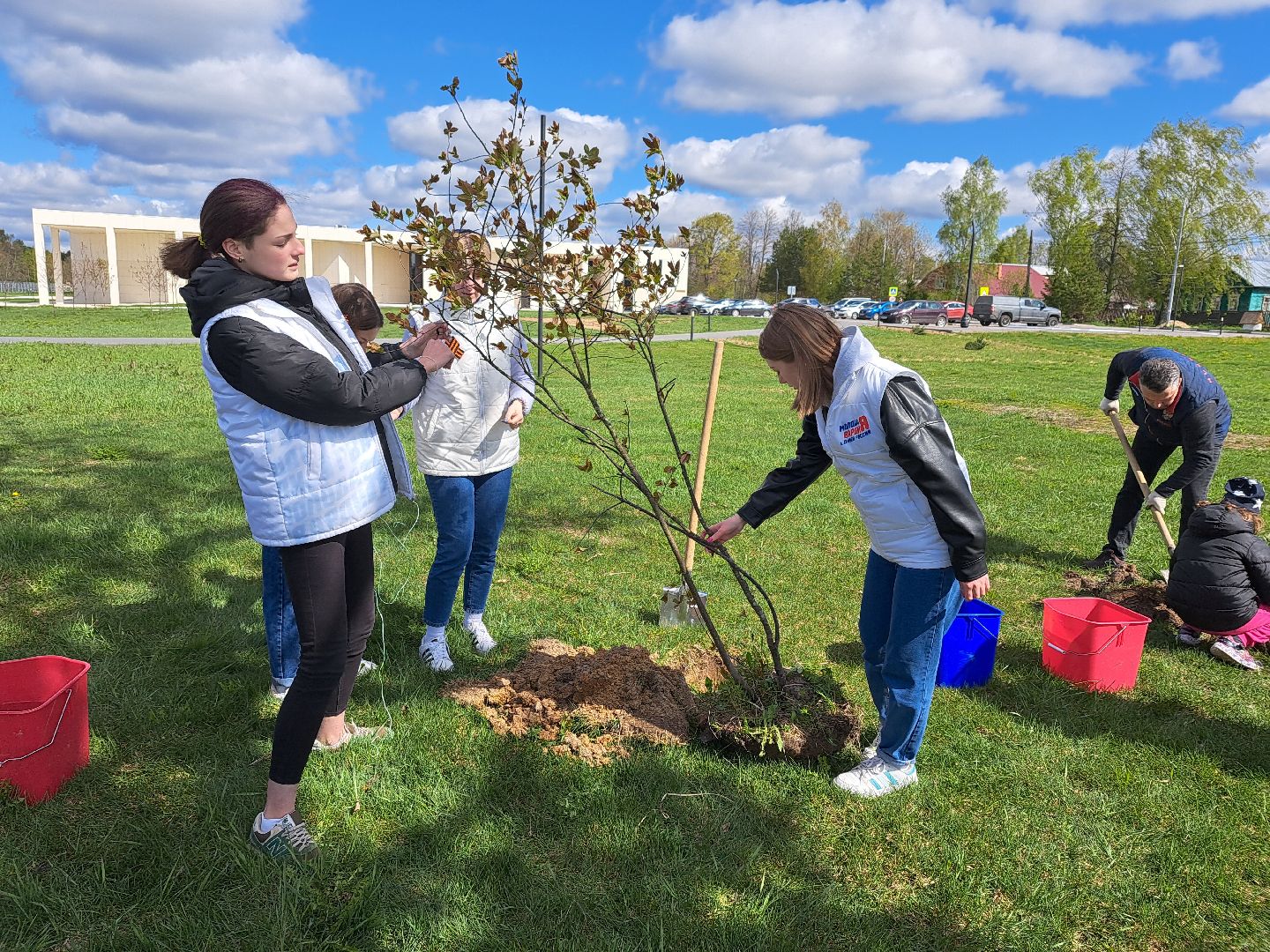 Рузский городской округ, Петрищево, Зоя, черёмуха, акция