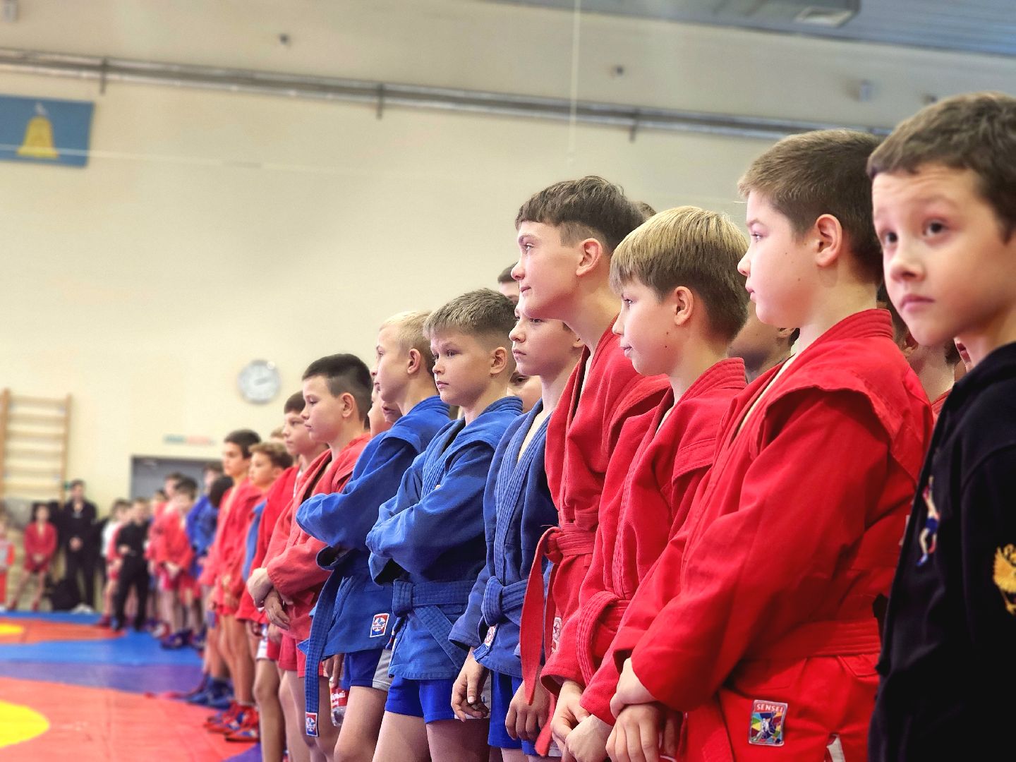 самбо, спорт, турнир, соревнования,