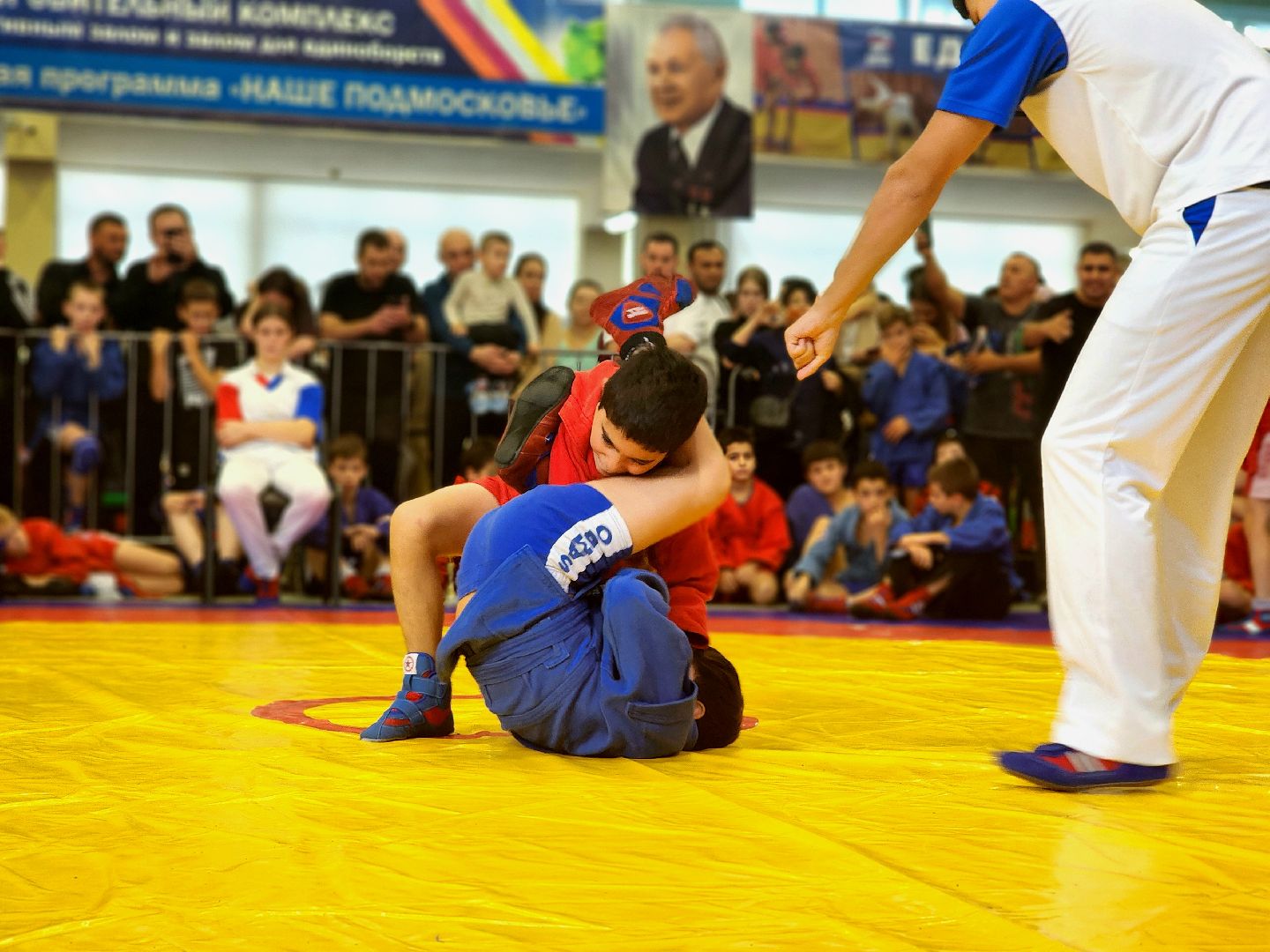 самбо, спорт, турнир, соревнования,