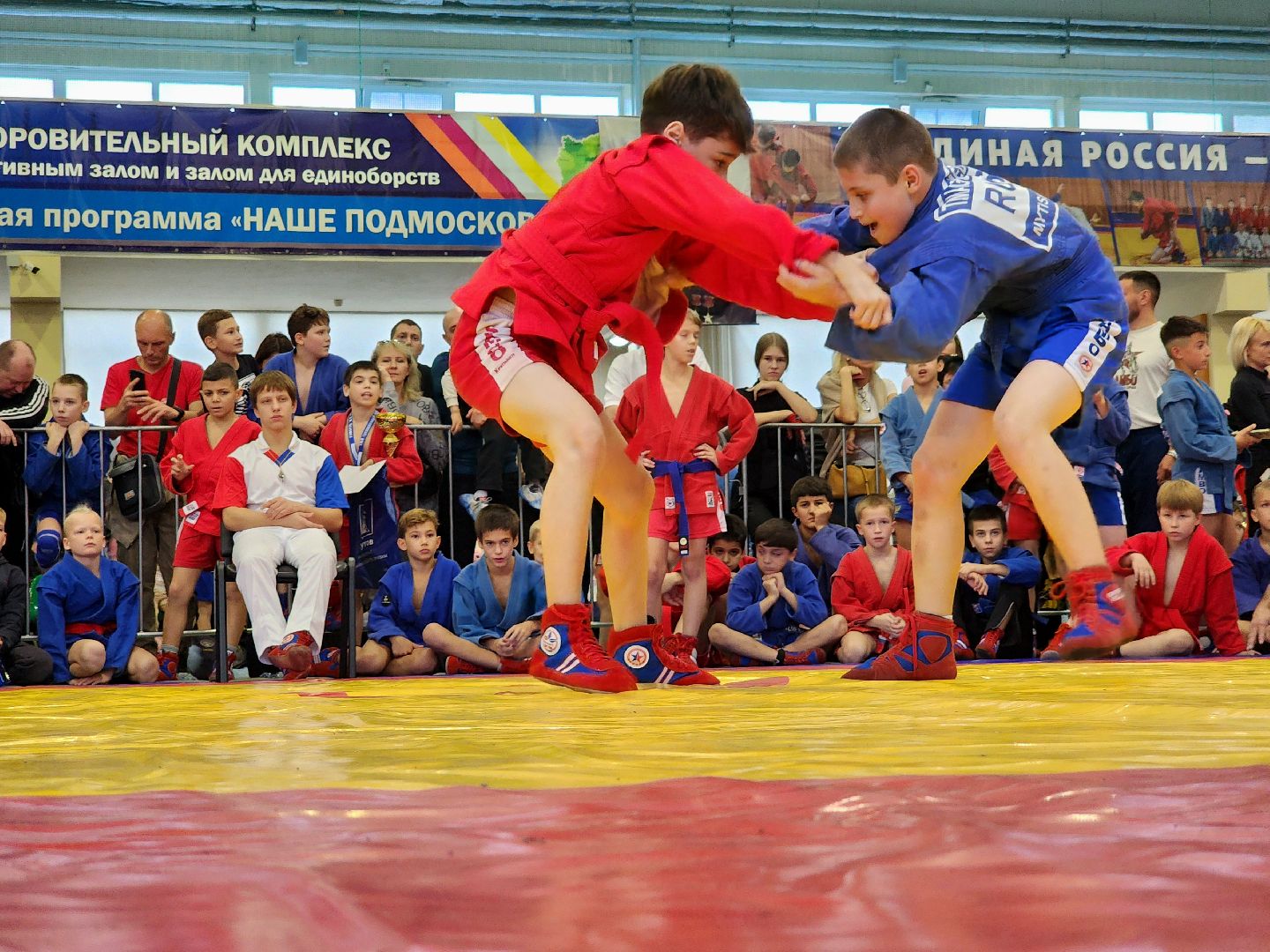 самбо, спорт, турнир, соревнования,