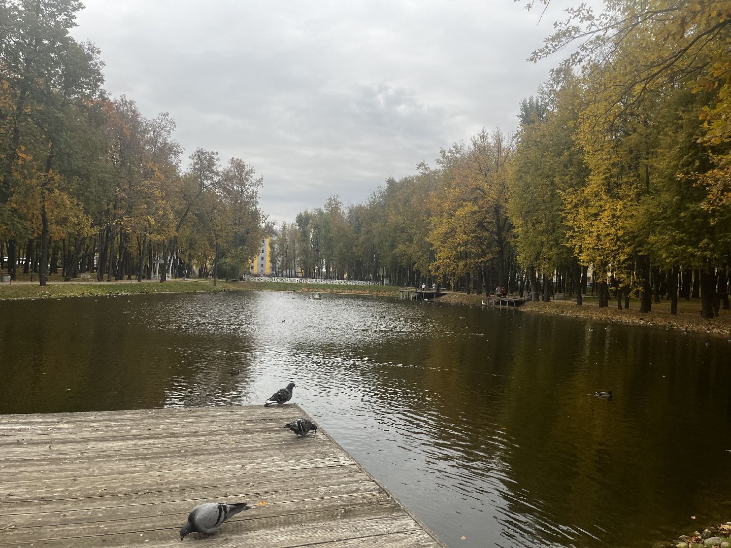 воскресенск, кривякино,