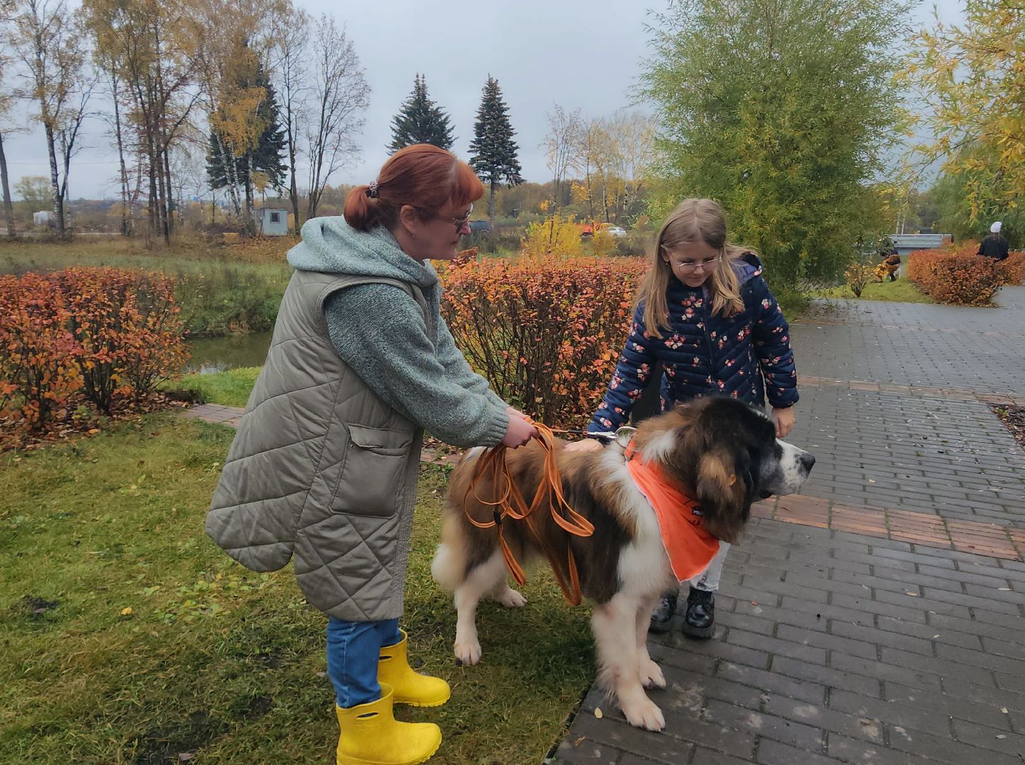 наро-фоминск, наро-фоминский городской округ, приют для животных, благотворительная акция, возьми друга из приюта,