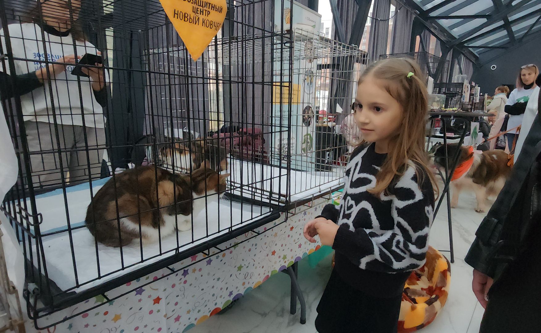 наро-фоминск, наро-фоминский городской округ, приют для животных, благотворительная акция, возьми друга из приюта,