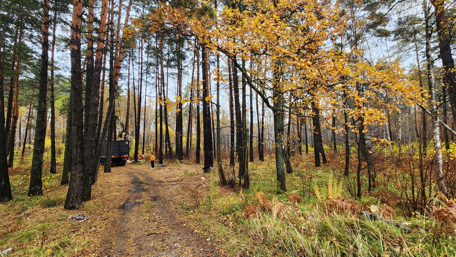 незаконная свалка, протвино, комбинат благоустройства,