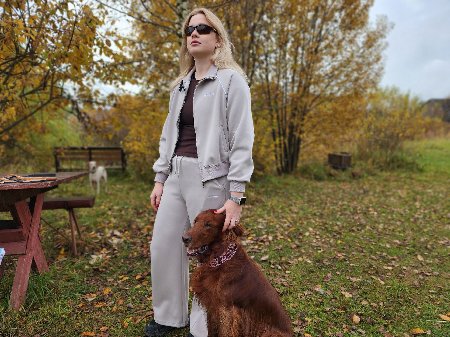 сергиев посад, из первых лап, волонтеры,передача корма, корм для кошек, корм для собак,лекарства для животных, кошкин дом, филя, приют для бездомных животных,