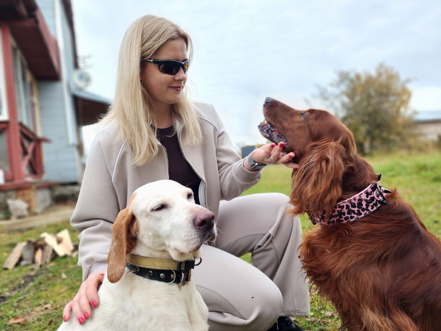 сергиев посад, из первых лап, волонтеры,передача корма, корм для кошек, корм для собак,лекарства для животных, кошкин дом, филя, приют для бездомных животных,