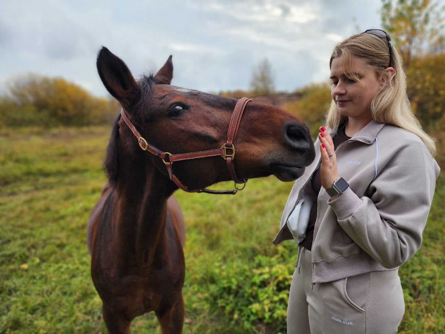 сергиев посад, из первых лап, волонтеры,передача корма, корм для кошек, корм для собак,лекарства для животных, кошкин дом, филя, приют для бездомных животных,