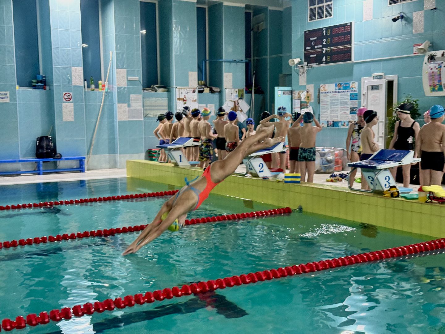 соревнования по плаванию, ленинский городской округ, пловчиха виктория таранникова,