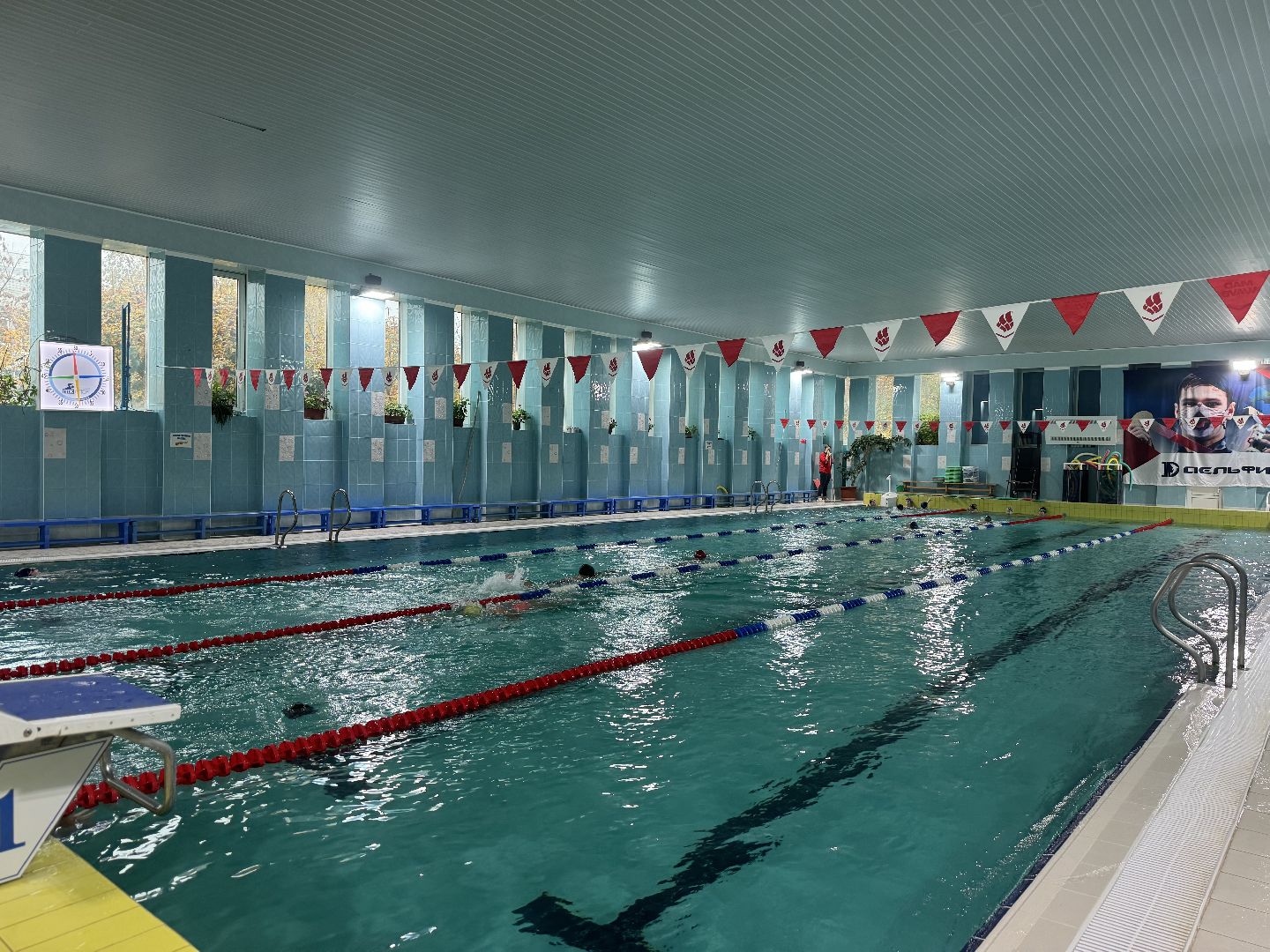 соревнования по плаванию, ленинский городской округ, пловчиха виктория таранникова,