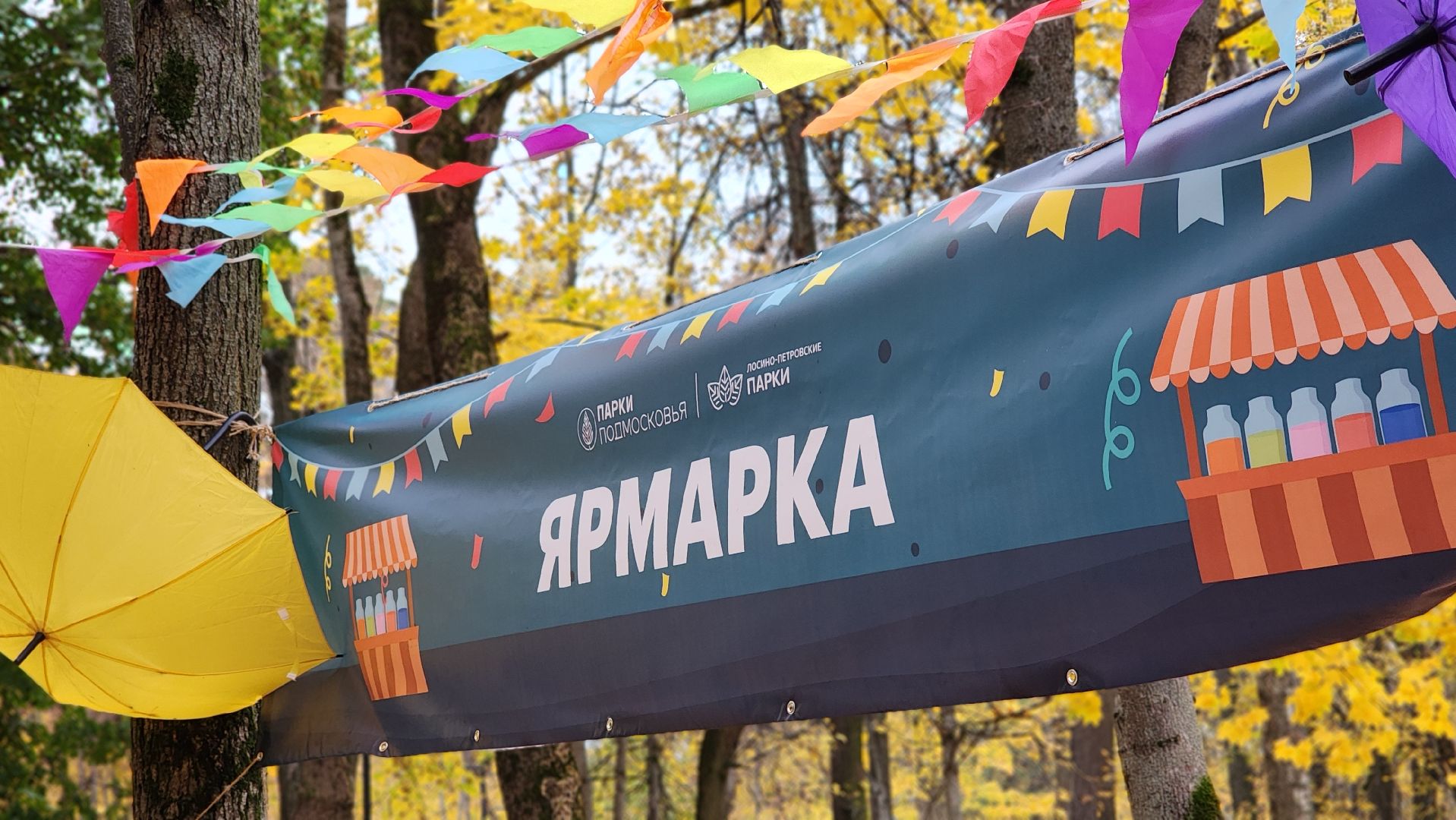 парк, праздник осени, лосино-петровский,