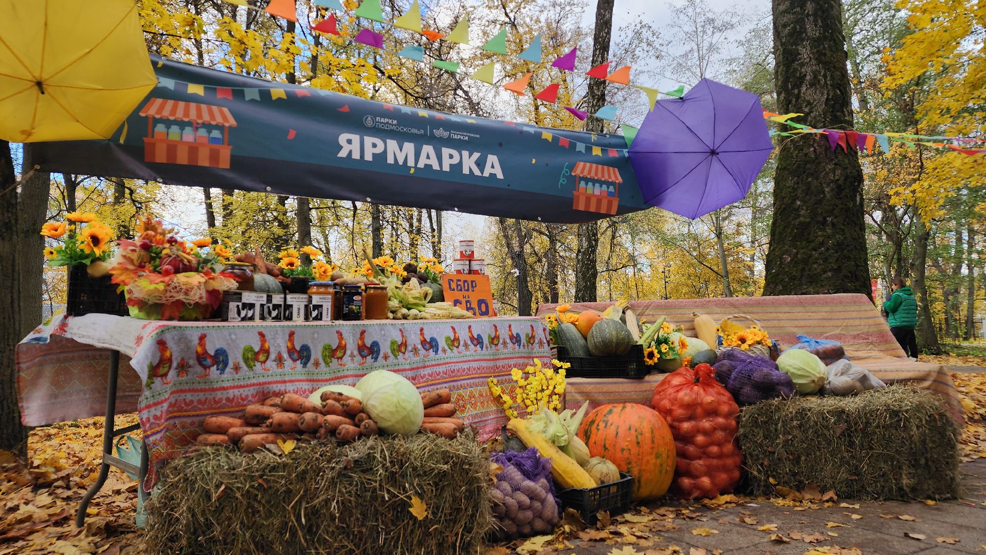 парк, праздник осени, лосино-петровский,