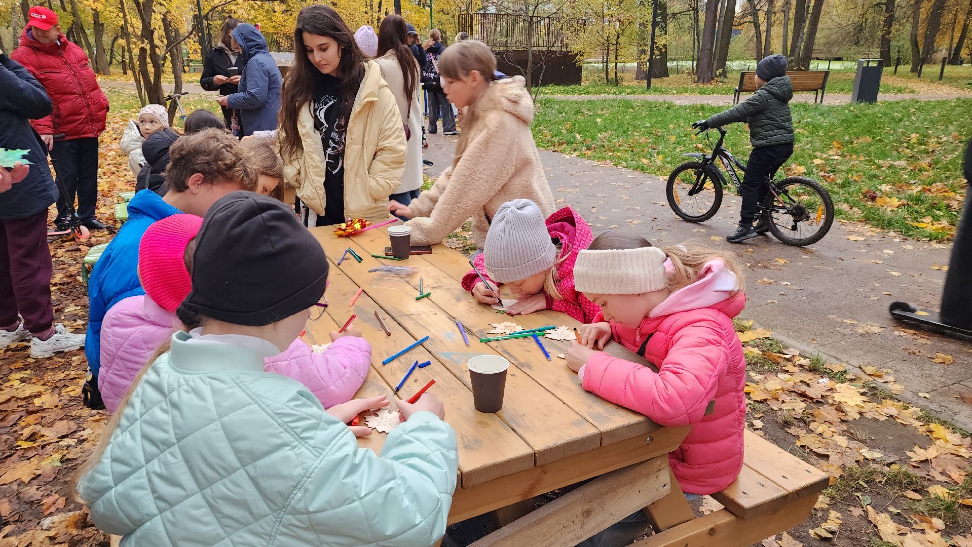 парк, праздник осени, лосино-петровский,