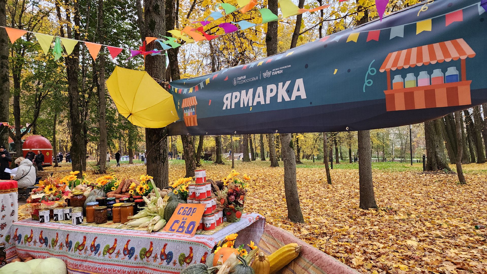 парк, праздник осени, лосино-петровский,