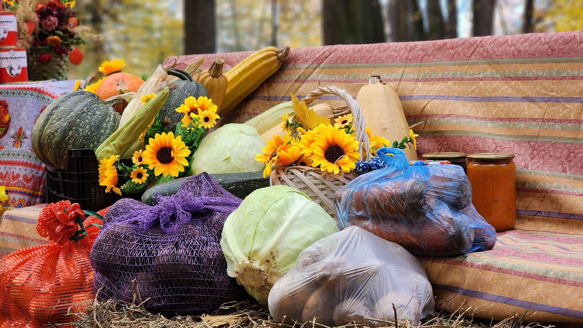 парк, праздник осени, лосино-петровский,