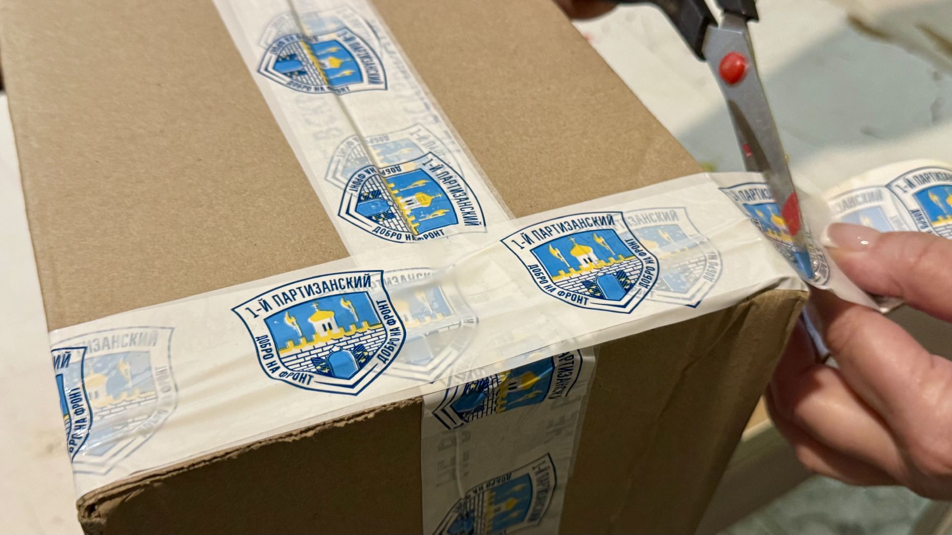 Сергиев Посад, Первый партизанский,   волонтеры ,