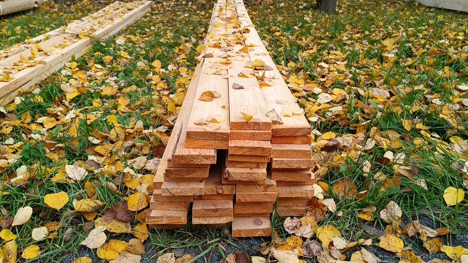 крещение, лобня, парк,