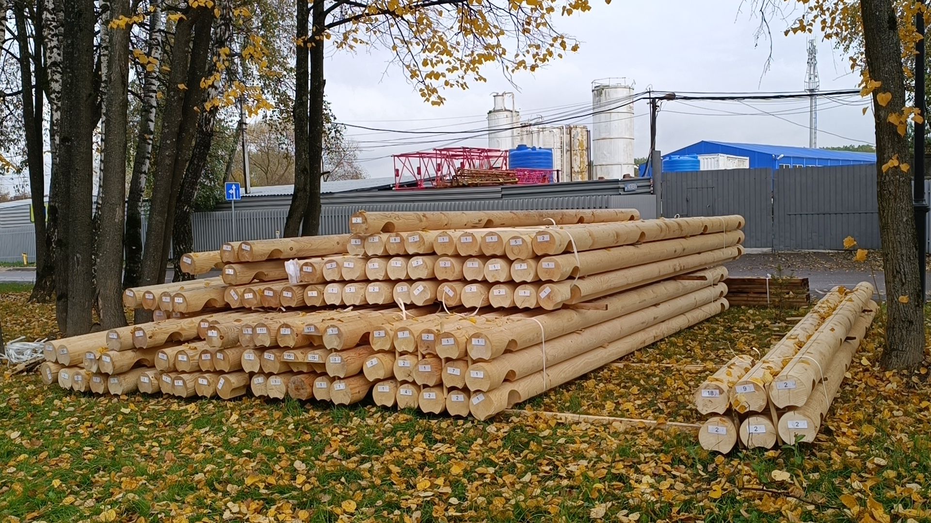 крещение, лобня, парк,