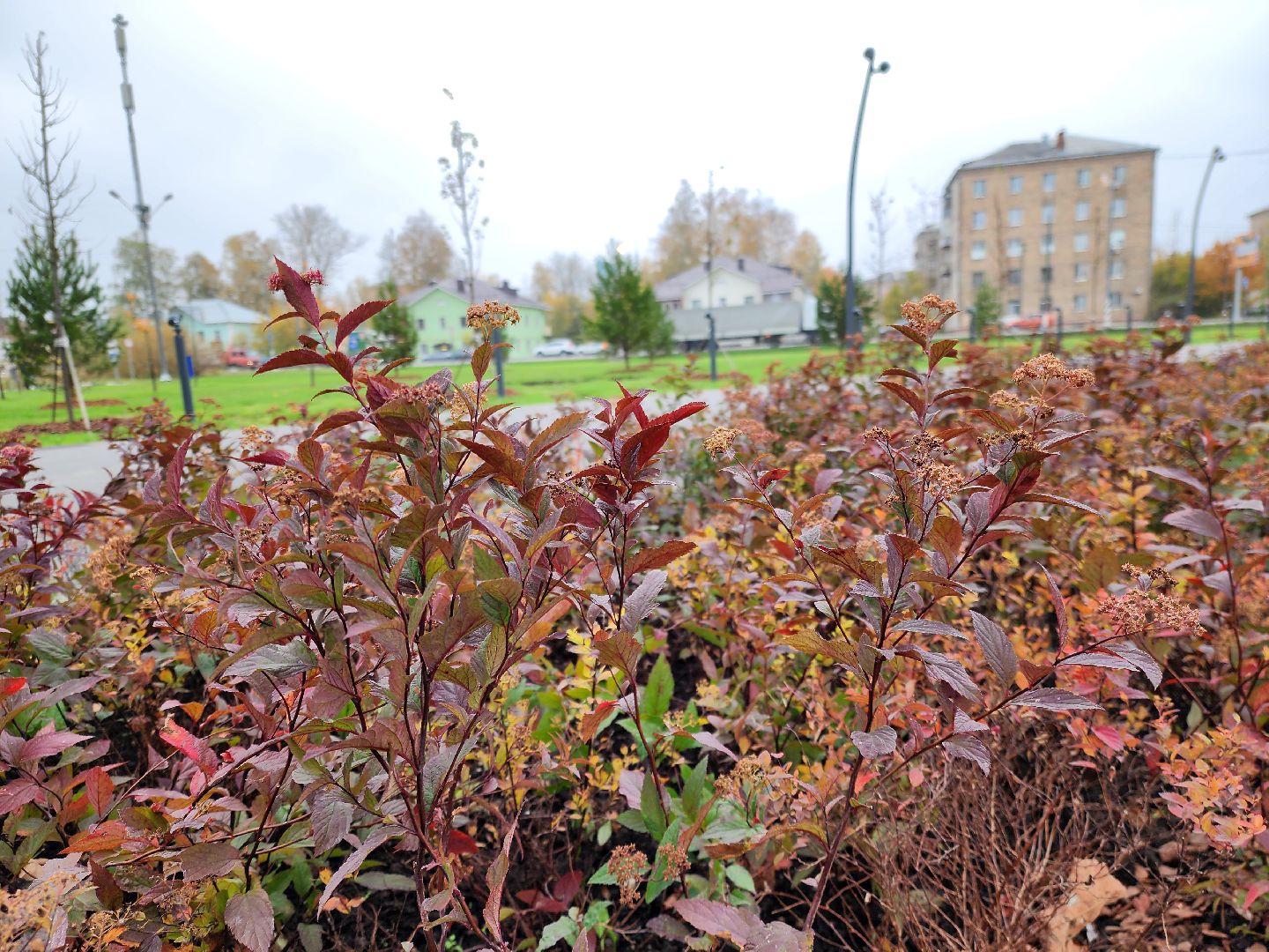 электросталь, сквер, жители, благоустройство, памятник, ремонт,