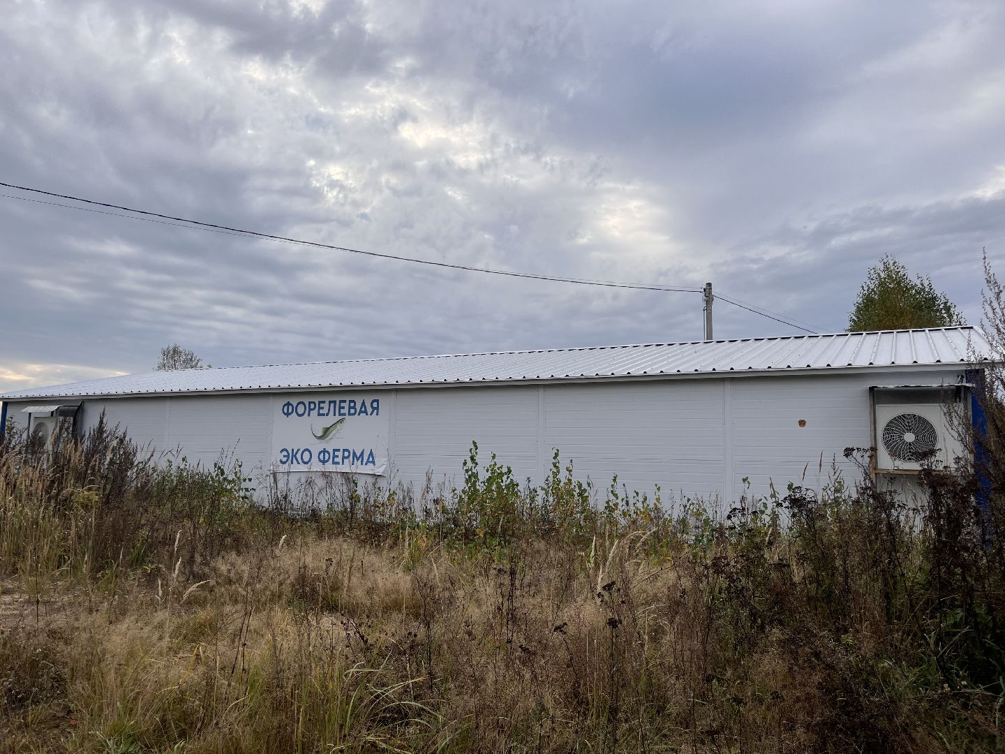 шатура, шатура экономика, шатура сельское хозяйство, форель,