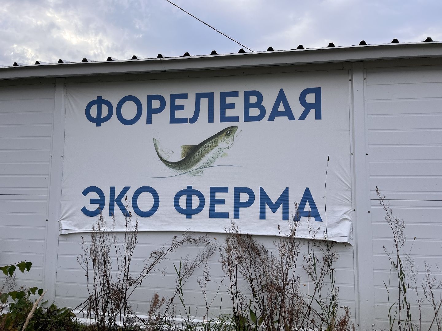 шатура, шатура экономика, шатура сельское хозяйство, форель,