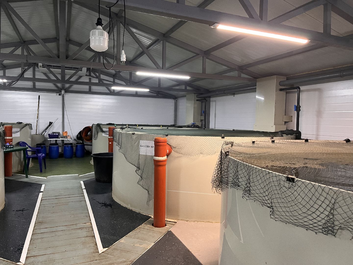 шатура, шатура экономика, шатура сельское хозяйство, форель,