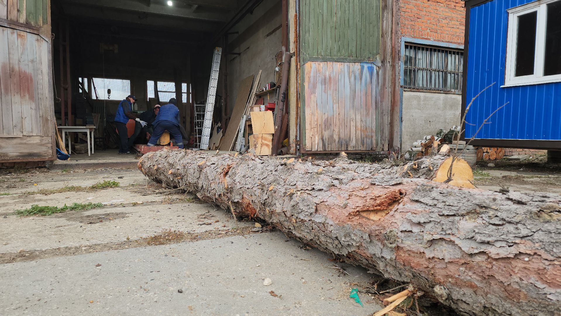 кашира, жкх, мбу благоустройство, содержание территорий, пилорама, дрова, доски, бруски, производство, ремонт,