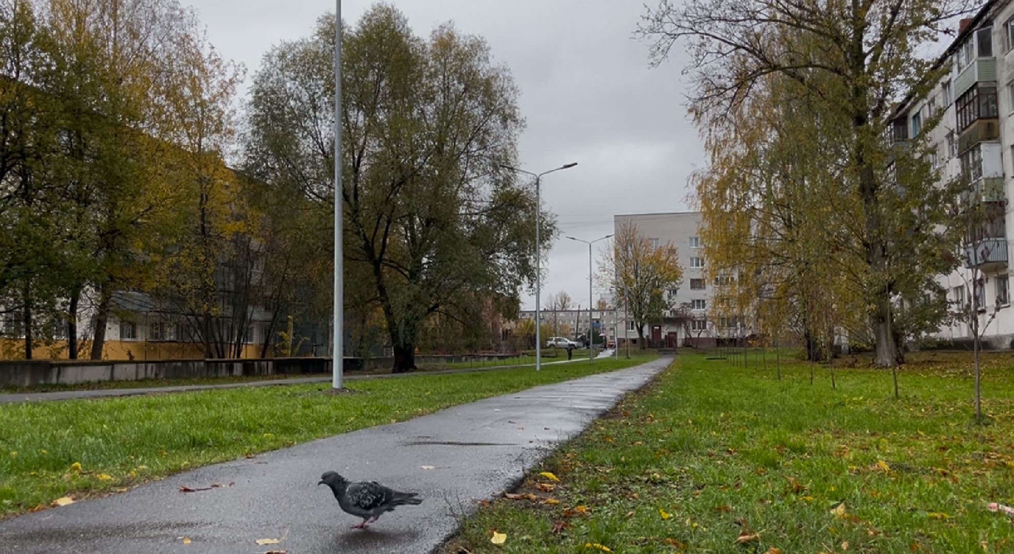 шатура благоустройство, светлый город,