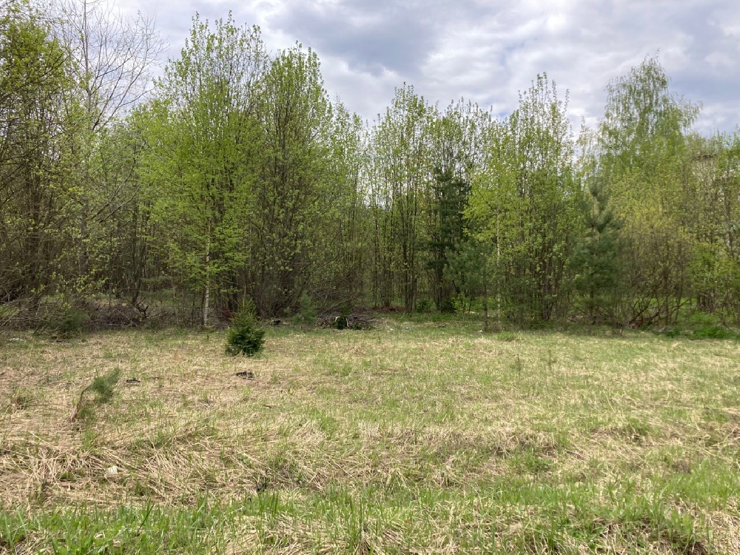 Солнечногорск, Поварово, детский сад, дети, строительство