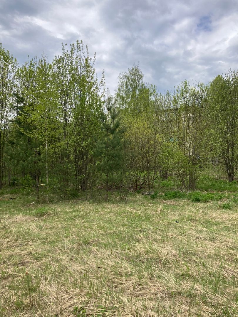 Солнечногорск, Поварово, детский сад, дети, строительство