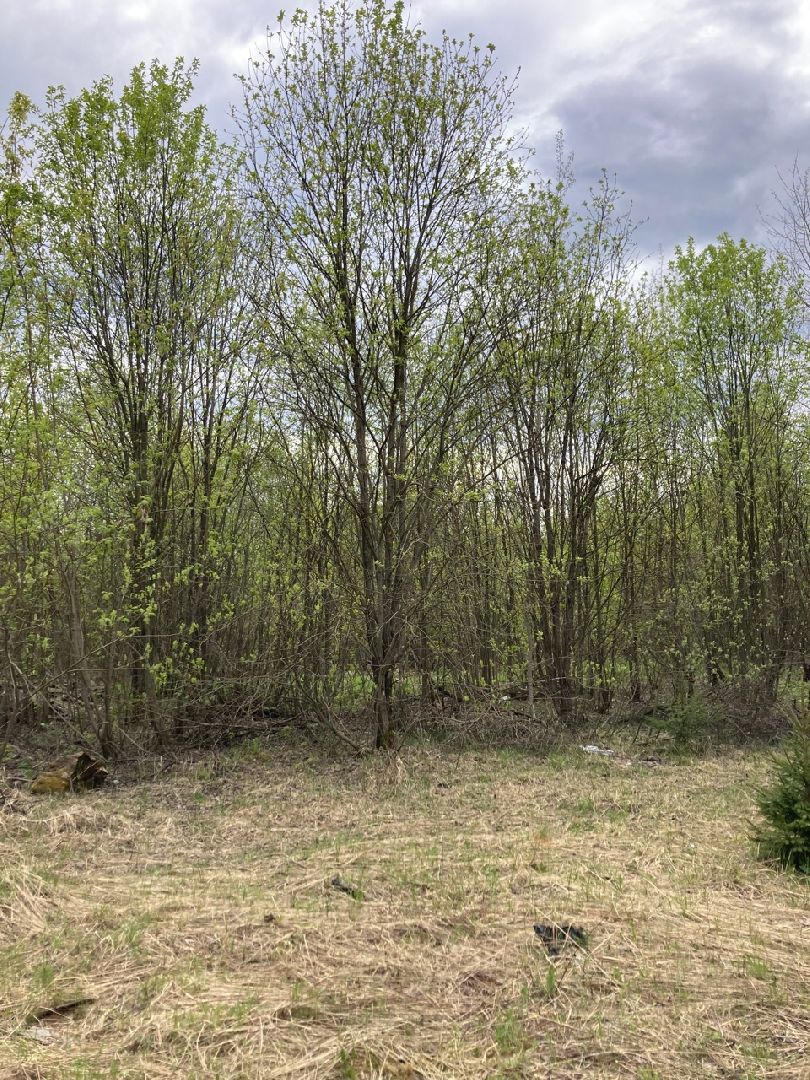 Солнечногорск, Поварово, детский сад, дети, строительство