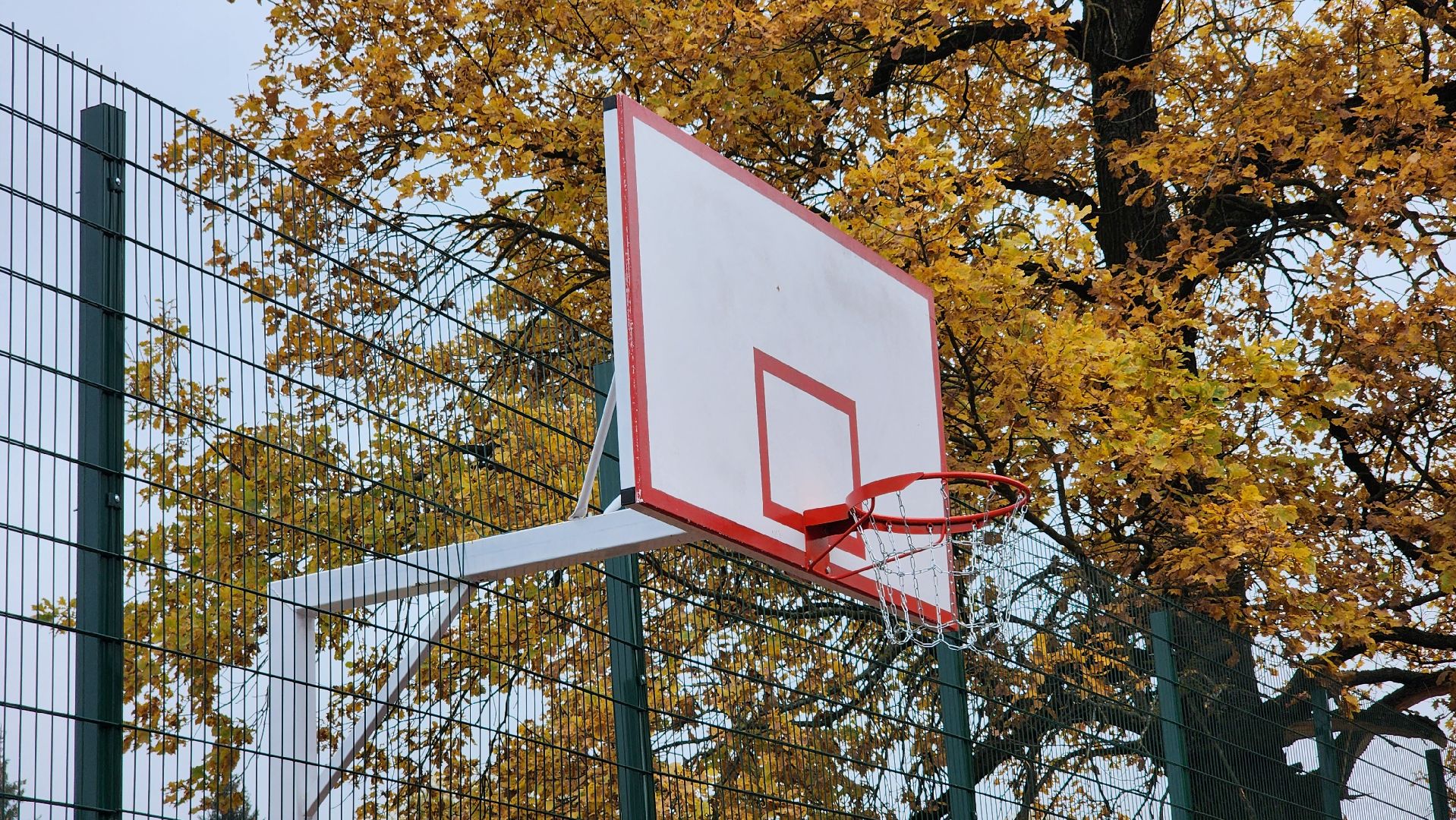 спорт, школа, школьный стадион, открытый стадион, лосино-петровский,