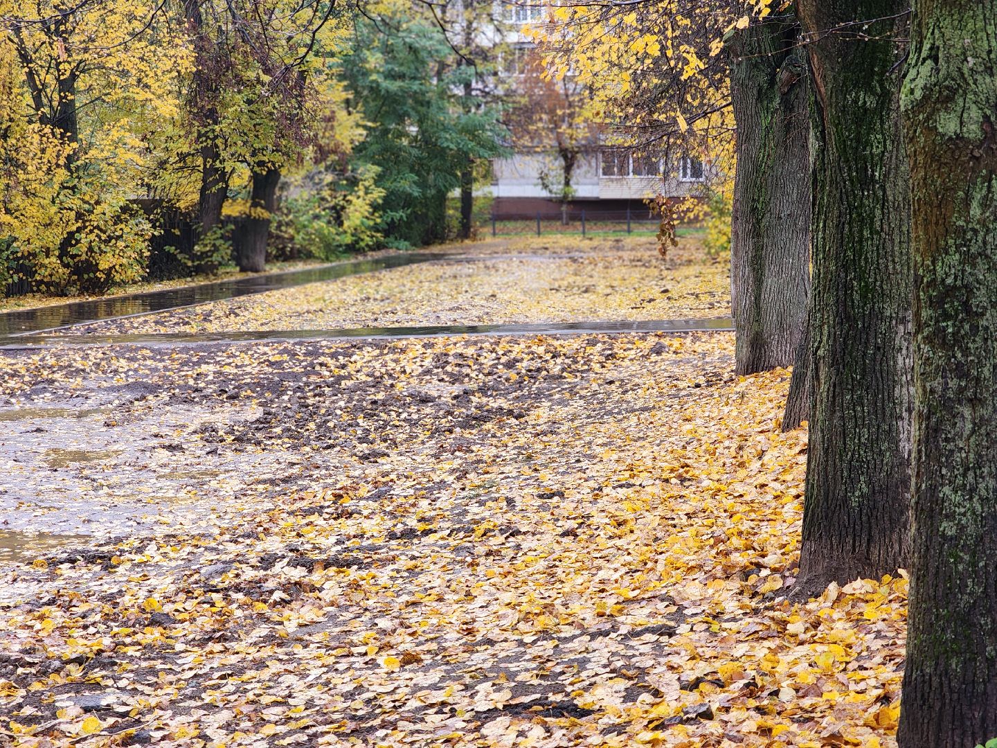 благоустройство, дворовая территория, детская площадка, ногинск, богородский городской округ,