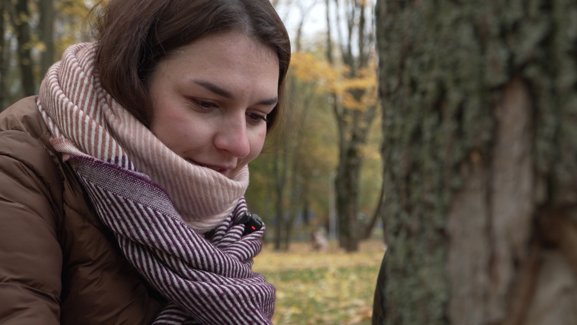 Реутов, рисунки,деревья, натуральные холсты,