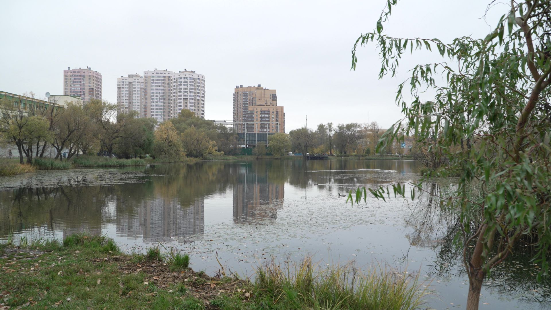 Реутов, рисунки,деревья, натуральные холсты,