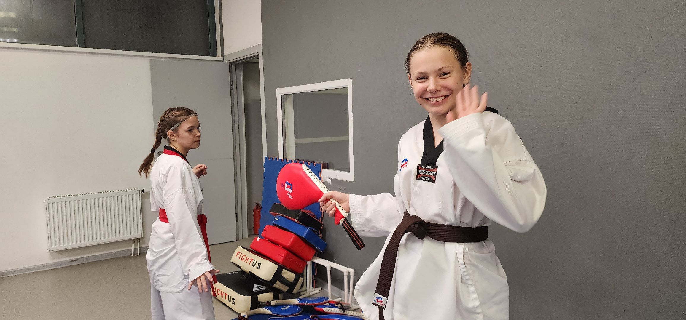 Истра, Спорт, Тхэквондо , Турнир,